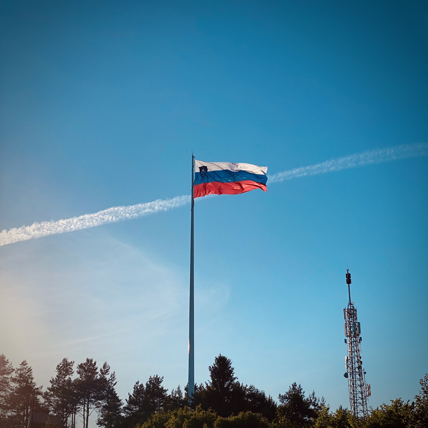 Sekirica, Logatec. Foto: Aleksander Hribovšek, 2024.